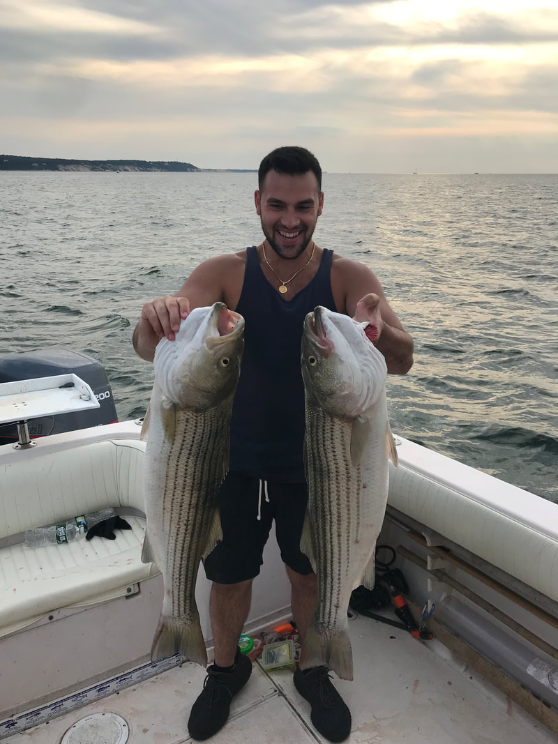 Black sea bass caught off Mount Sinai