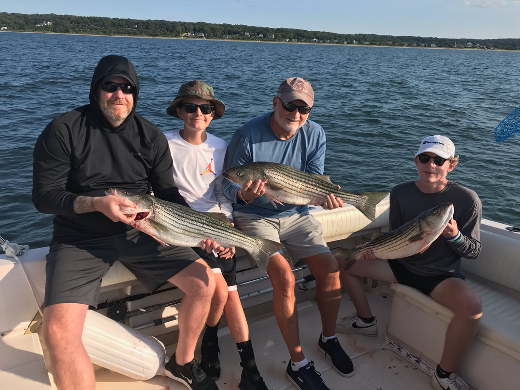 Fluke summer flounder on light tackle