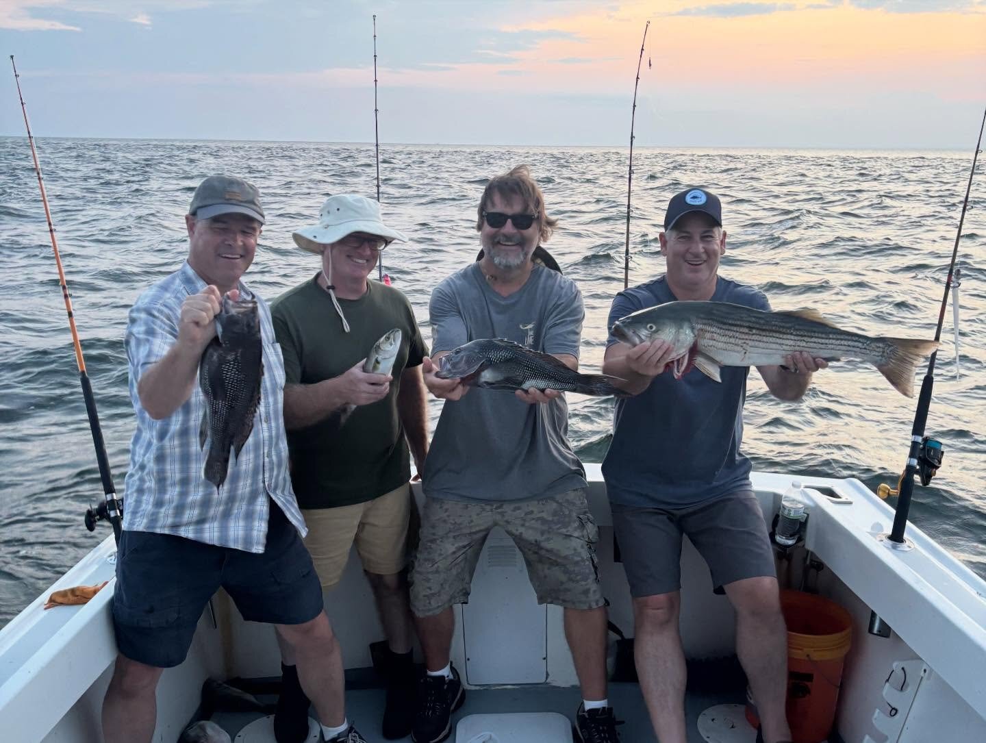 Group of four anglers with sea bass and striped bass at sunset